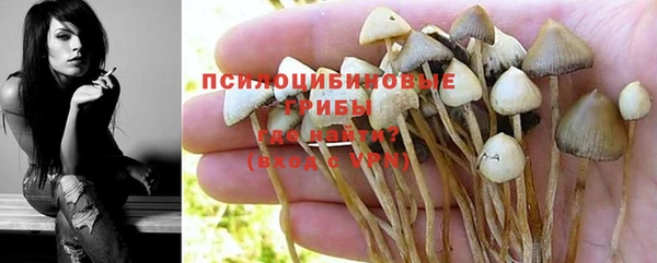 герыч Михайлов