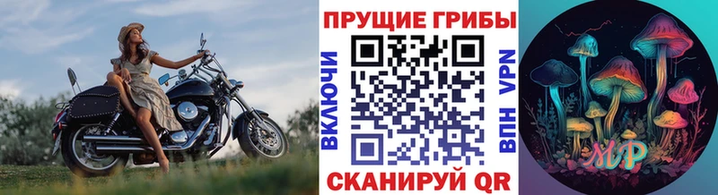 Галлюциногенные грибы Magic Shrooms  Купить  Саянск 