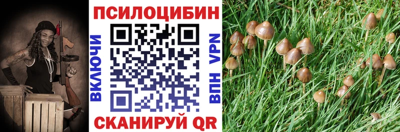 Галлюциногенные грибы MAGIC MUSHROOMS Саянск
